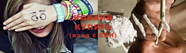 тгк Алексин