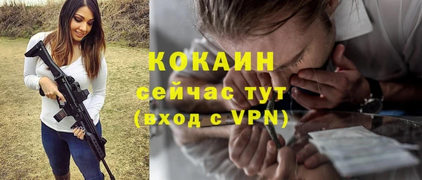 тгк Алексин