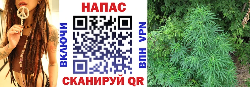Марихуана план  Долинск 